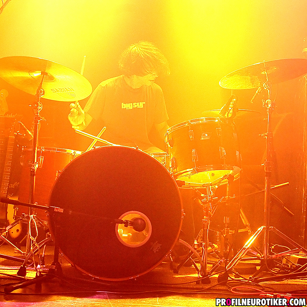 Part Chimp beim Incubate Festival 2010